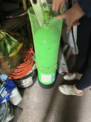 q-6