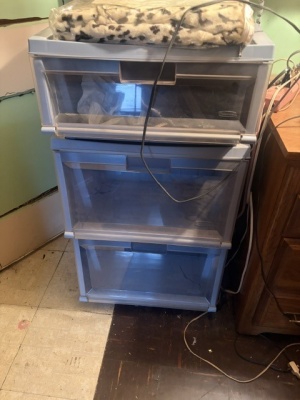IMG_4129